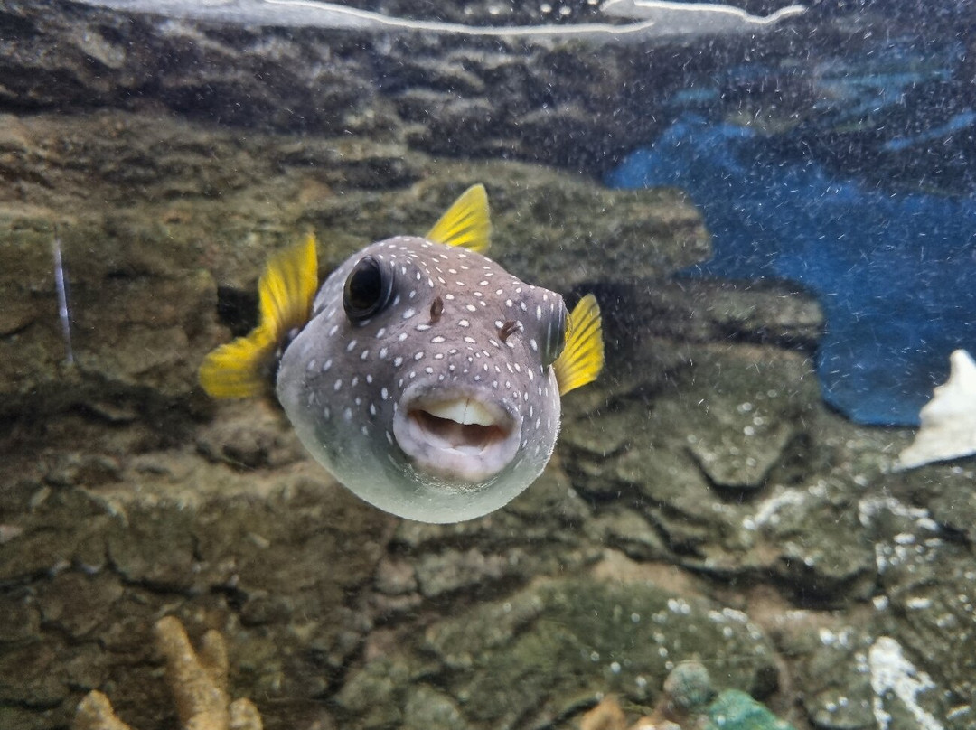 Natureland Seal Sanctuary-斯凯格内斯必去景点