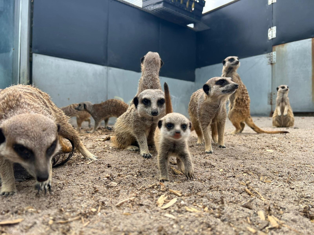 Chew Valley Animal Park-Chew Magna必去景点