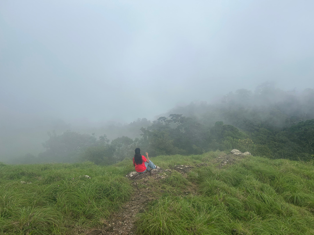 Ponmudi Hill Station-卡拉拉必去景点