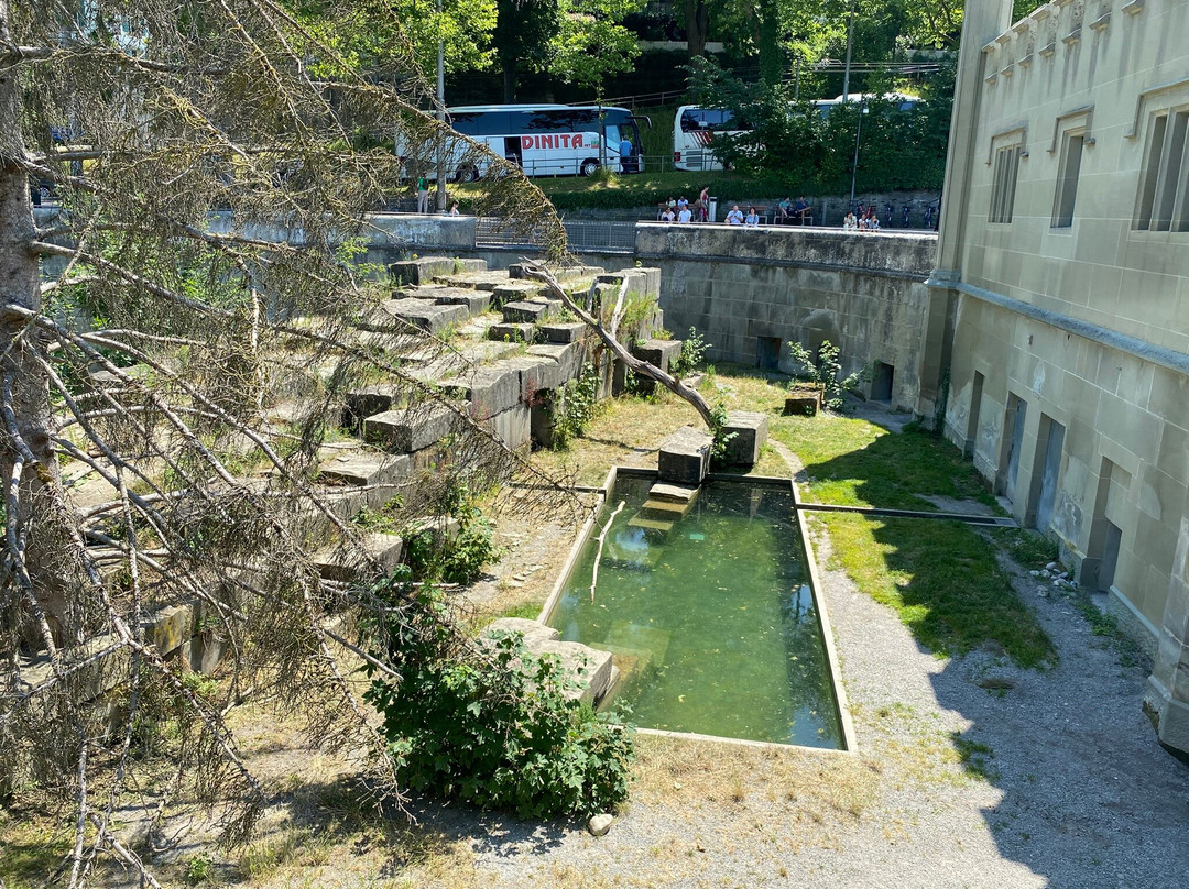 Barenpark-伯尔尼必去景点