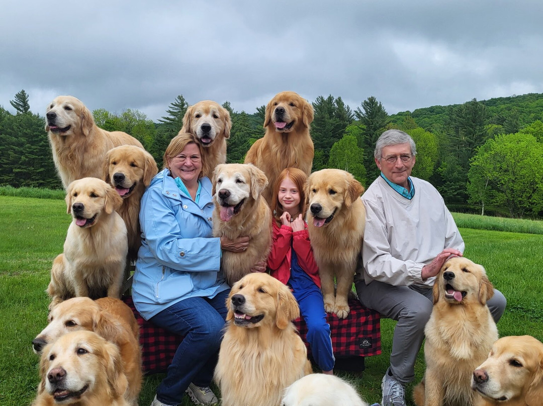 Golden Dog Farm-Jeffersonville必去景点