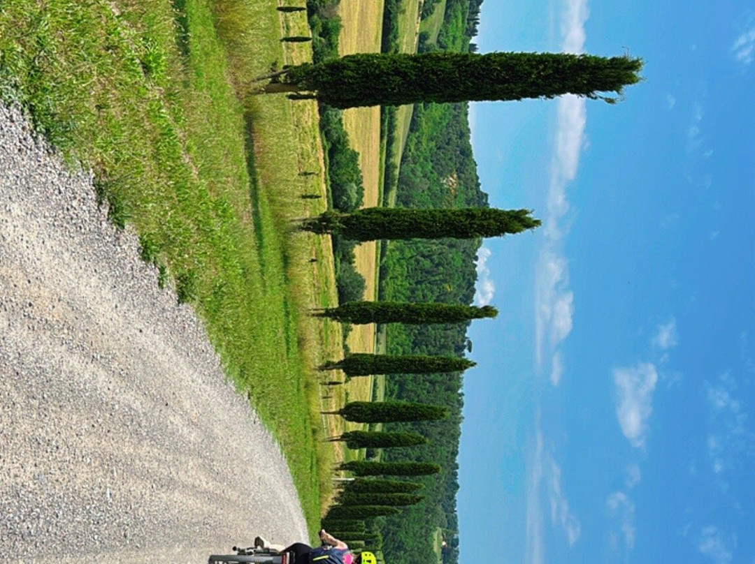 Biking Tuscany Tour-Peccioli必去景点