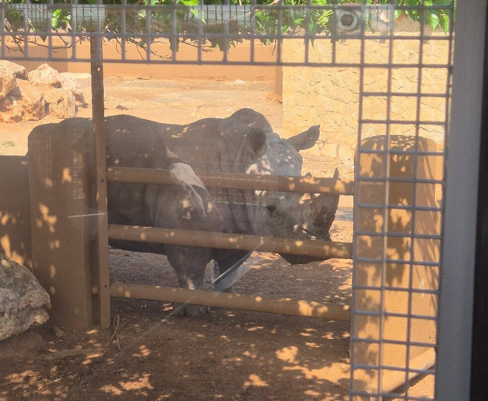 Safari Zoo Mallorca-萨可马必去景点