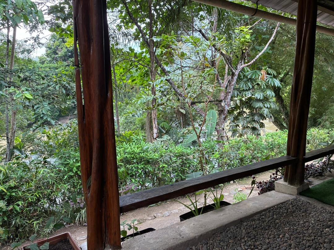 Sayani Amazon Lodge