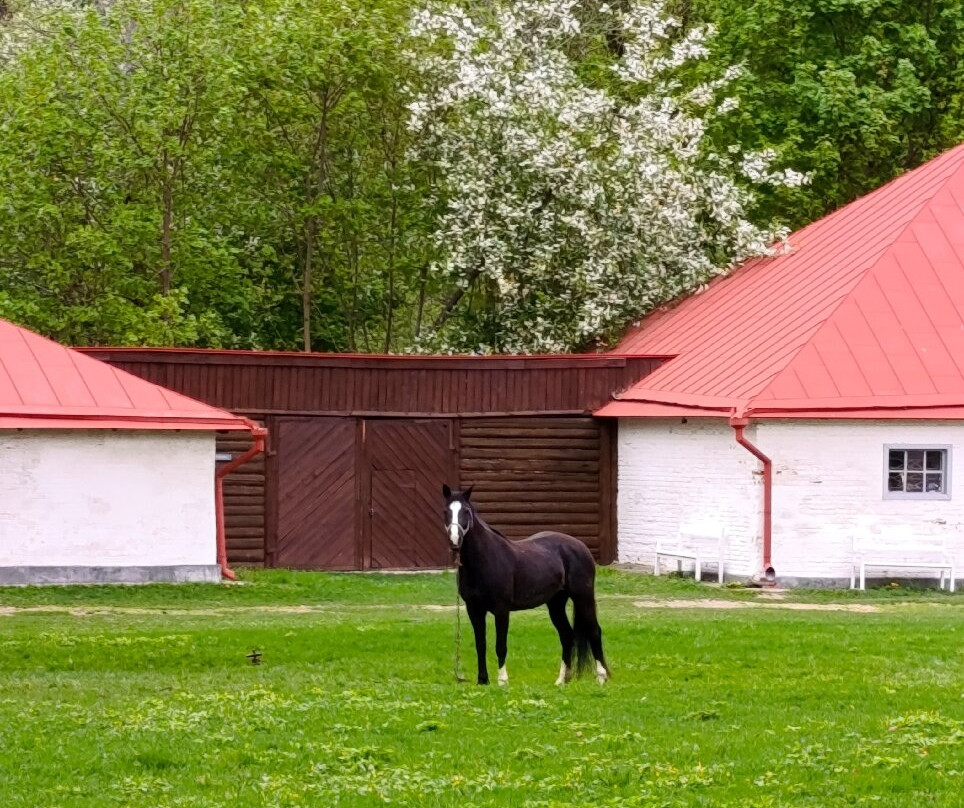 Museum-Reserve I. S. Turgenev Spasskoye-Lutovinovo-Spasskoye-Lutovinovo必去景点