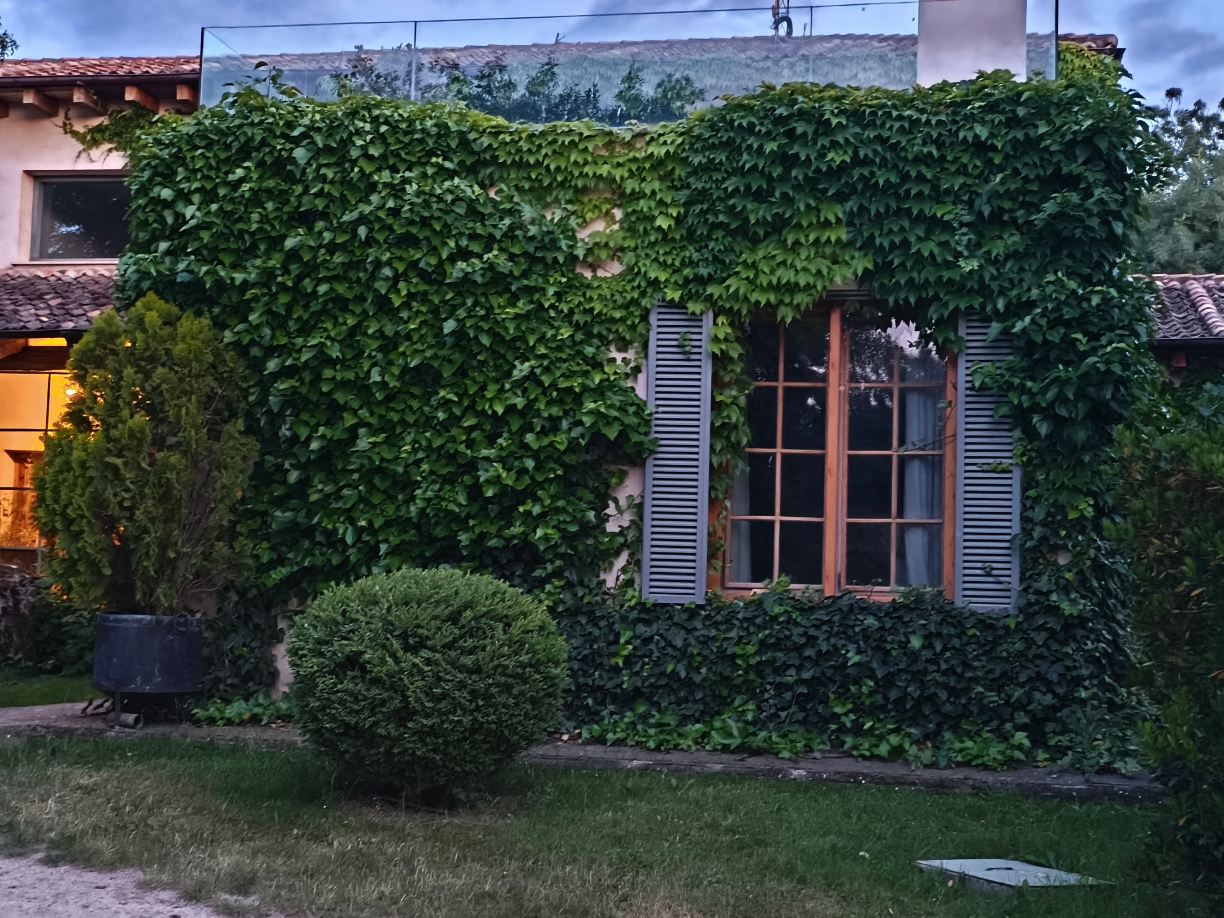Finca Fuente Techada - Adults Only-旅行者