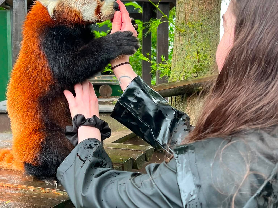 Shepreth Wildlife Park-Shepreth必去景点