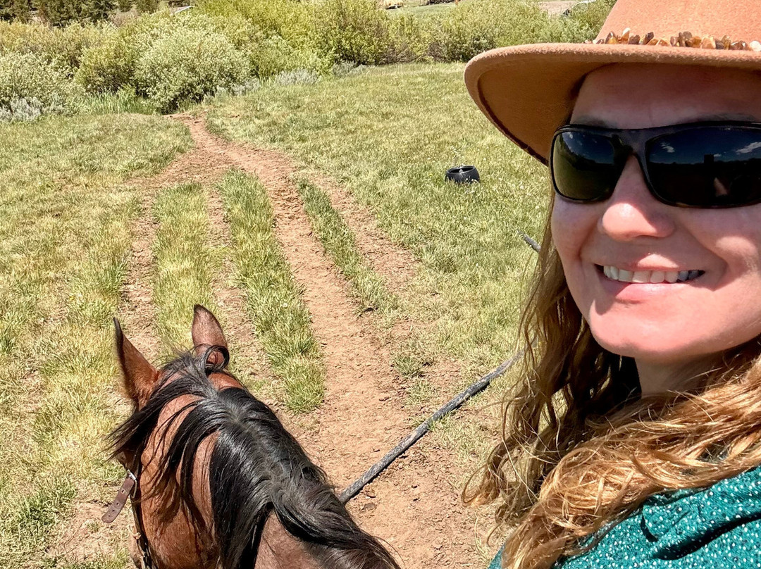 Yellowstone Horses - Eagle Ridge Ranch-艾兰帕克必去景点