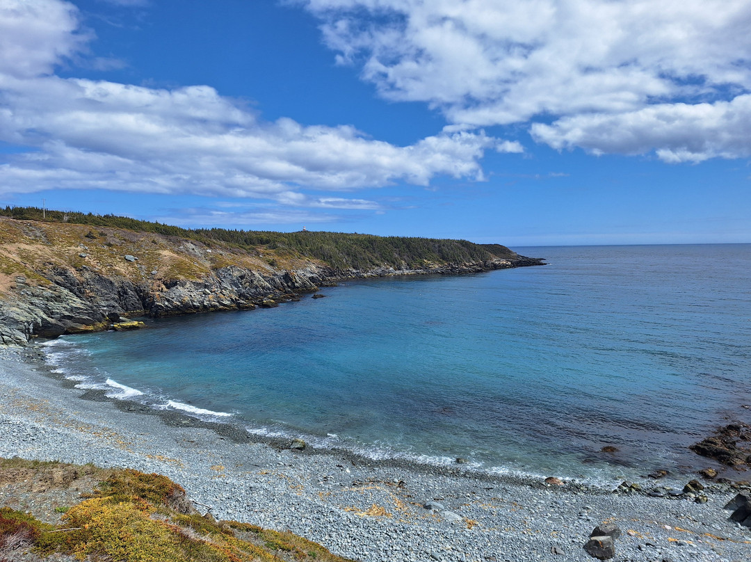 Ferryland Town-Ferryland必去景点