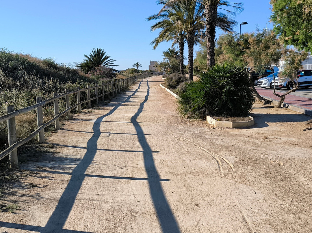 Parque Regional Salinas-San Pedro del Pinatar必去景点