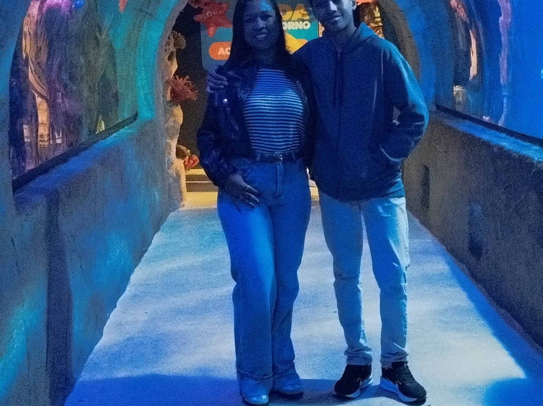 Oceanic Aquarium-康泊琉海水浴场必去景点