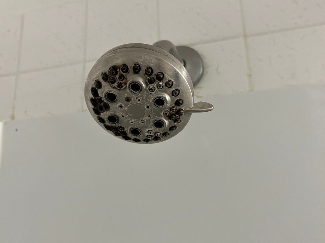 苹果树酒店主图