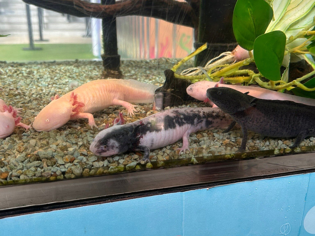 Oceanic Aquarium-康泊琉海水浴场必去景点