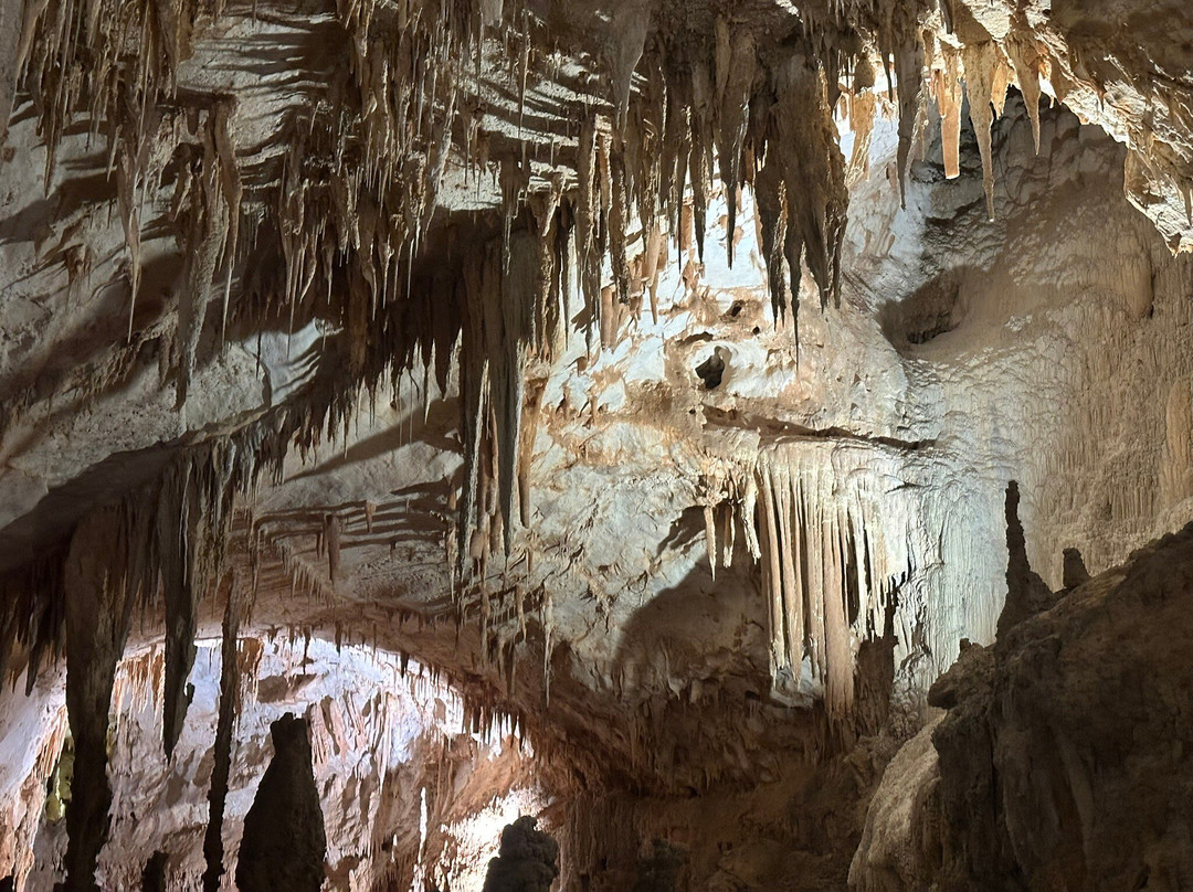 Grotta del Fico-Baunei必去景点