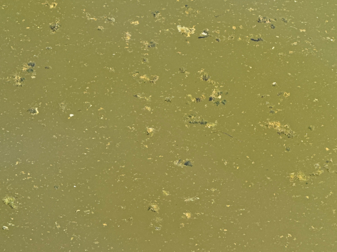 Lymington Sea Water Baths-利明顿必去景点