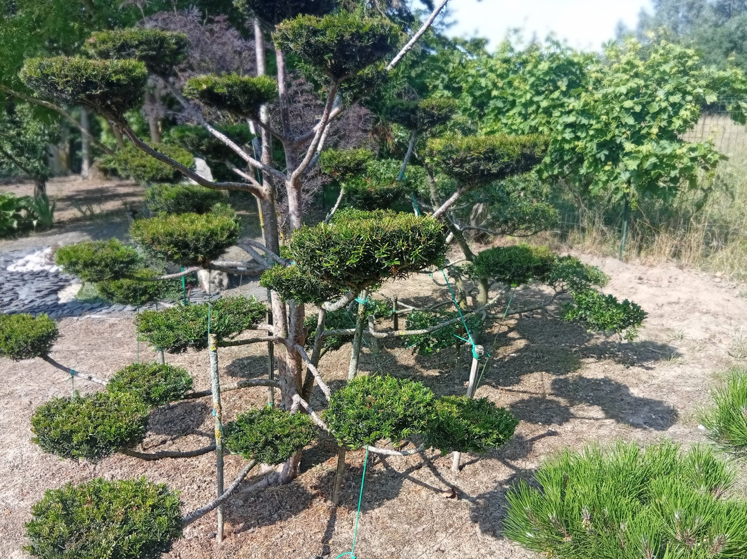 Le Jardin De La Méditation-Saint-Venant必去景点