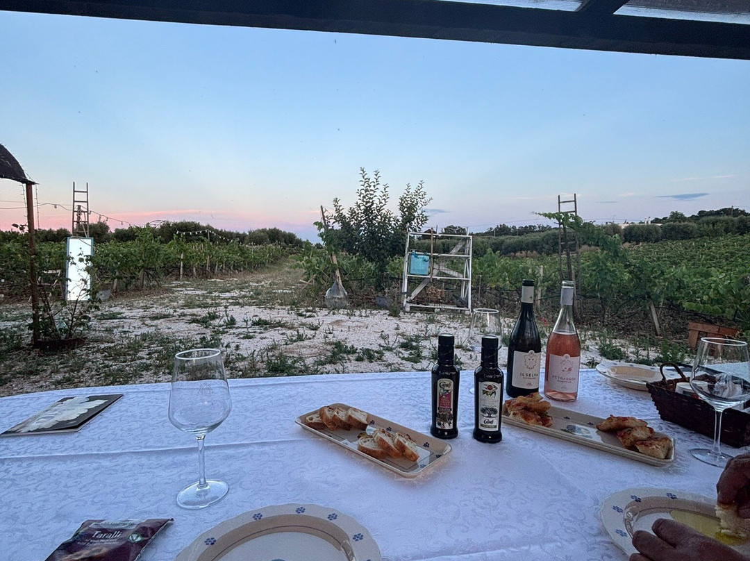 Cantina Albea winery and museum-阿尔贝罗贝洛必去景点