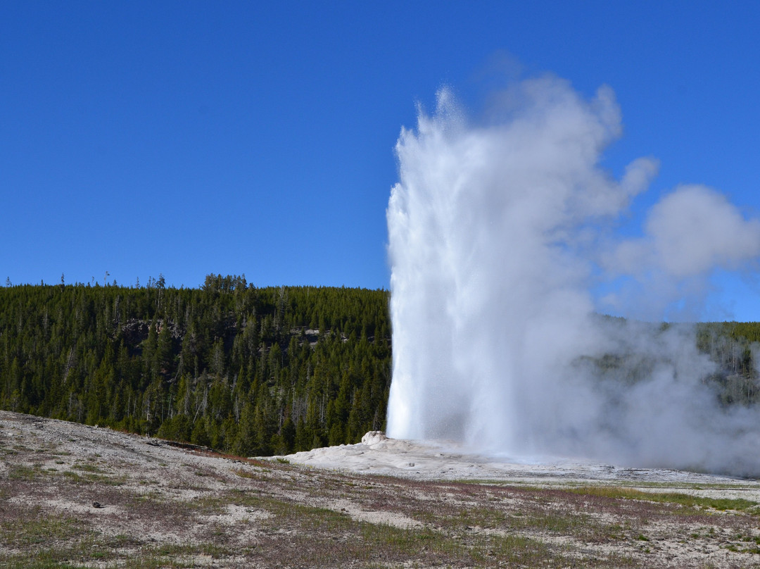 Yellowstone National Park-黄石国家公园必去景点