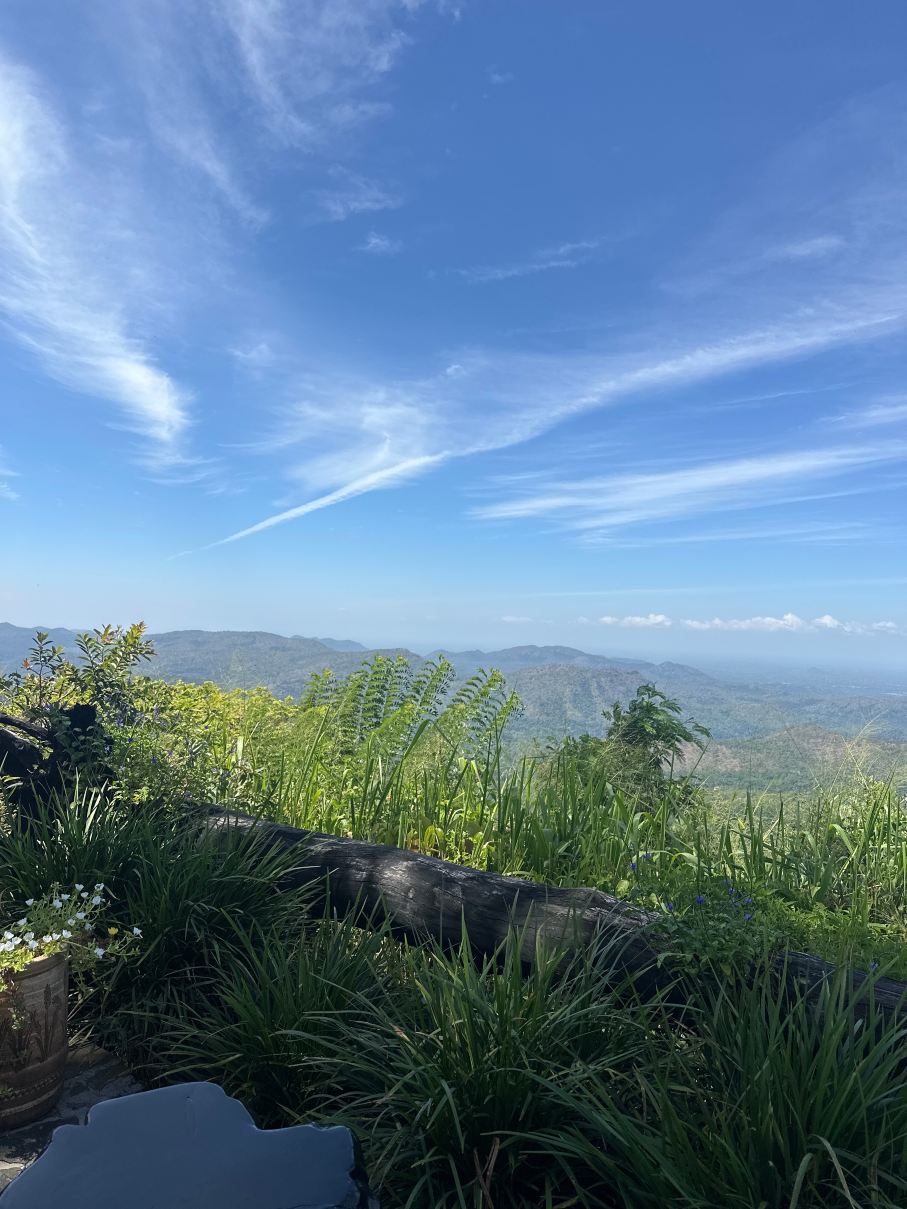 梦崖山中度假村-旅行者