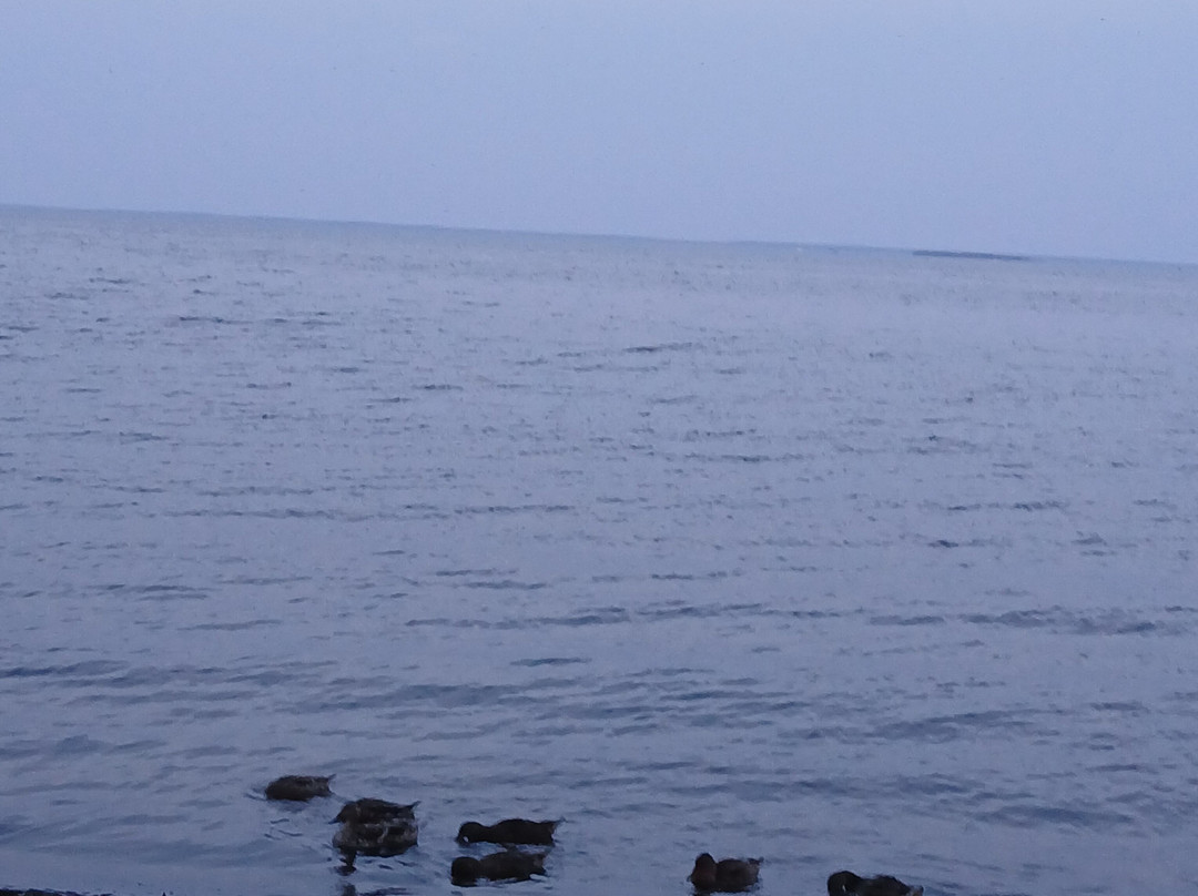 海湾伊克诺旅馆主图