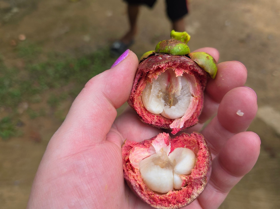 Langkawi Cooking School at Buluh & Tebing Organic Farm-兰卡威必去景点