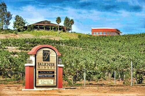 Falkner Winery-特曼库拉必去景点