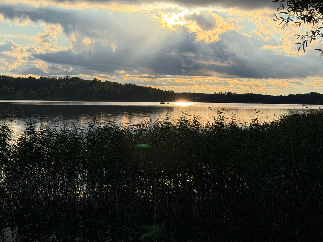 Camp Nygård