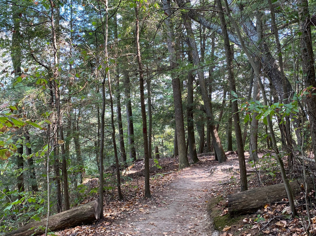 Conkles Hollow State Nature Preserve-Rockbridge必去景点