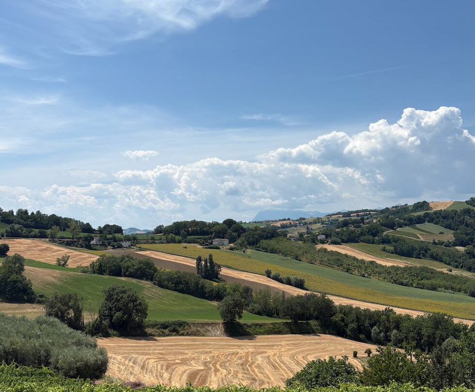 Marco's Way Wine Tours-Ostra必去景点