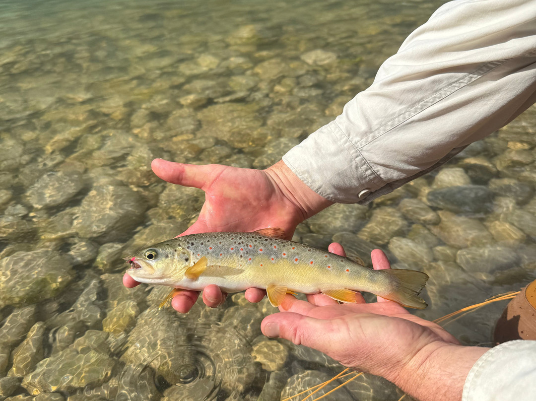 Riviera fly-fishing-Roquefort les Pins必去景点