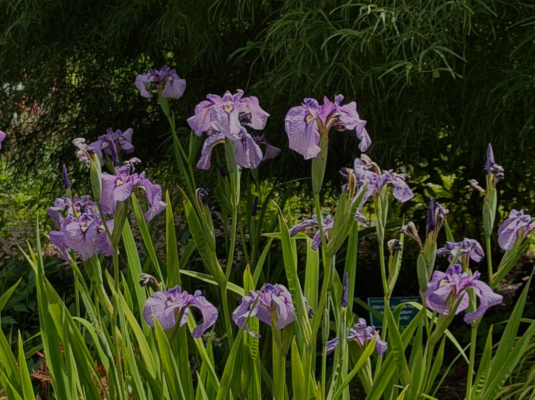 Coastal Maine Botanical Gardens-Boothbay必去景点