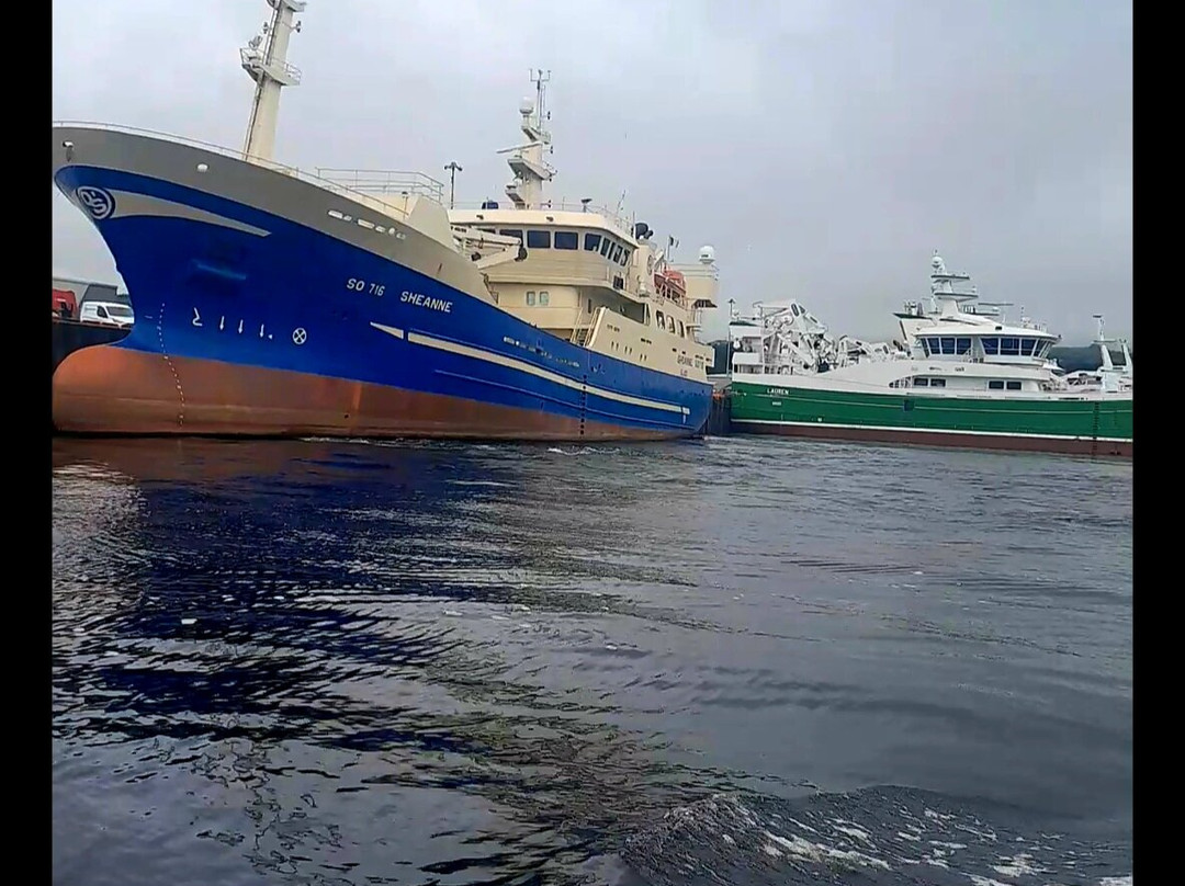 Killybegs Boat Tours-Killybegs必去景点