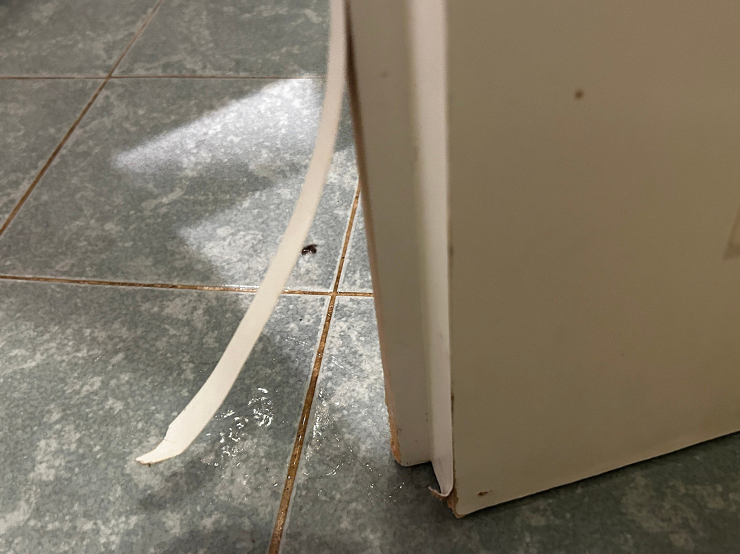 拉塞迪玛露娜酒店主图