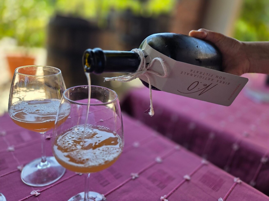 Cantina Fontechiara-Borgomanero必去景点