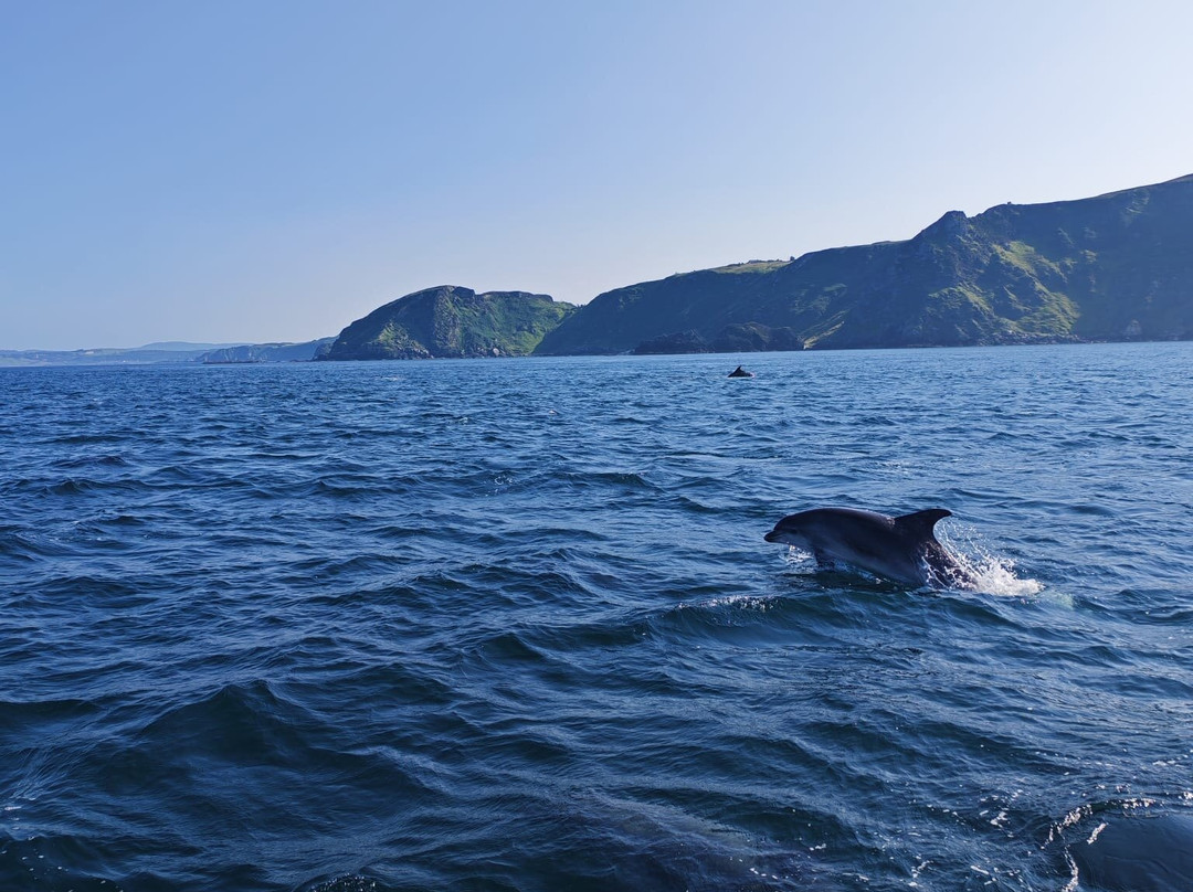 True North Boating-Culdaff必去景点