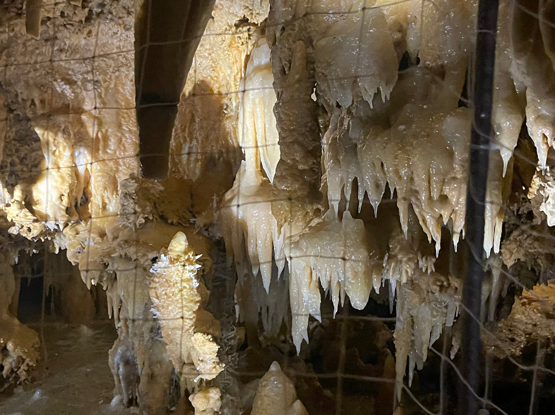 Grotte du Grand Roc-Les Eyzies-de-Tayac-Sireuil必去景点