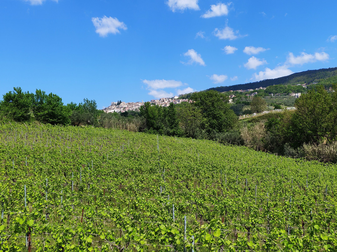 Tenuta San Girolamo-Guardia Sanframondi必去景点