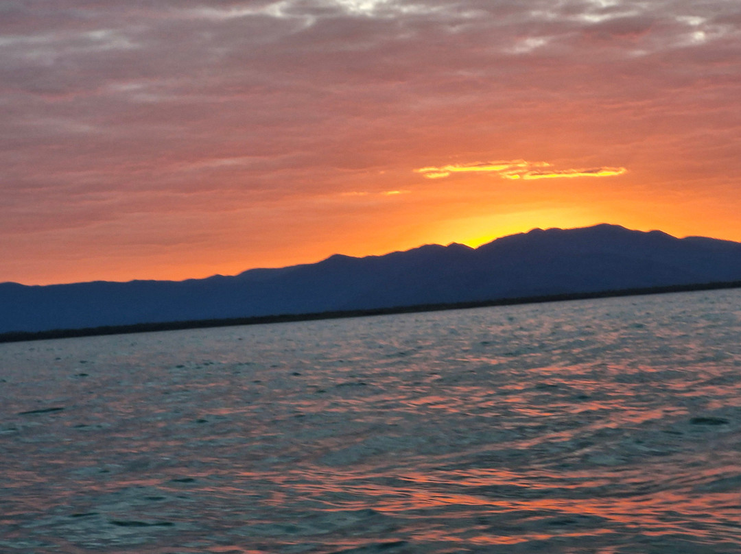 Hinchinbrook Island Cruises-卡德威尔必去景点
