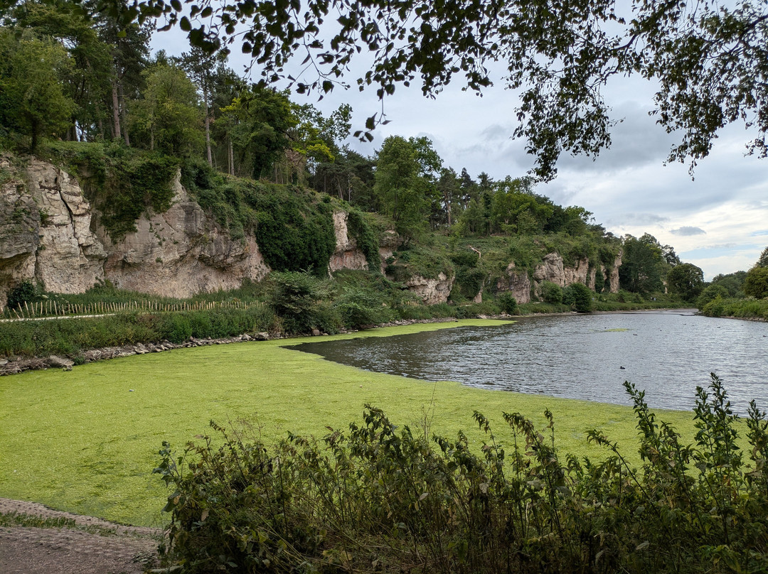 Creswell Crags-沃克索普必去景点