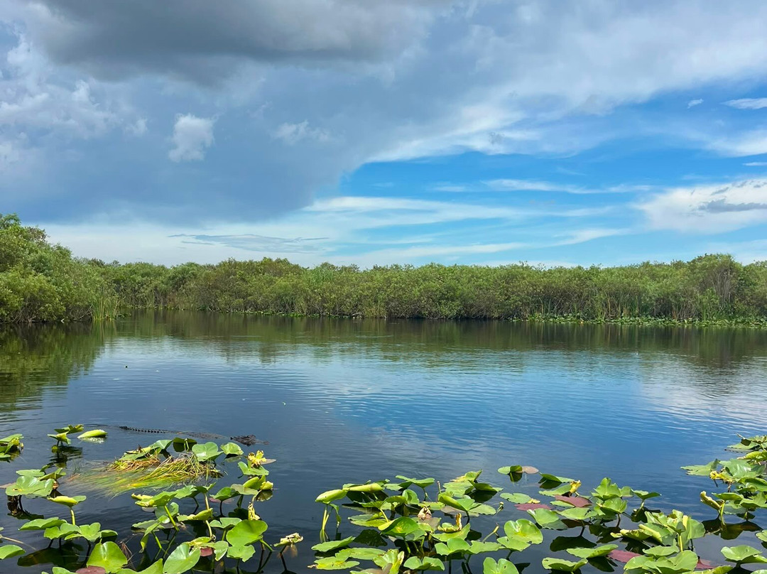Everglades Swamp Tours-Everglades Wildlife Management Area必去景点