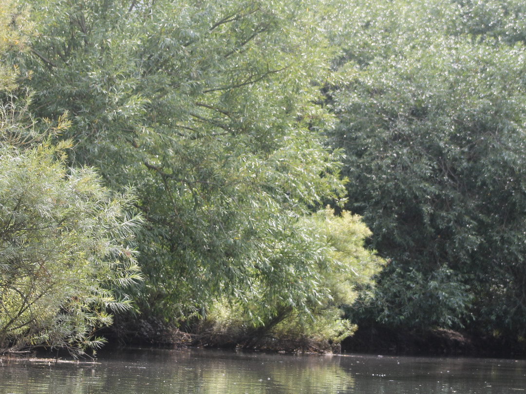 Grove Ferry River Trips-Upstreet必去景点