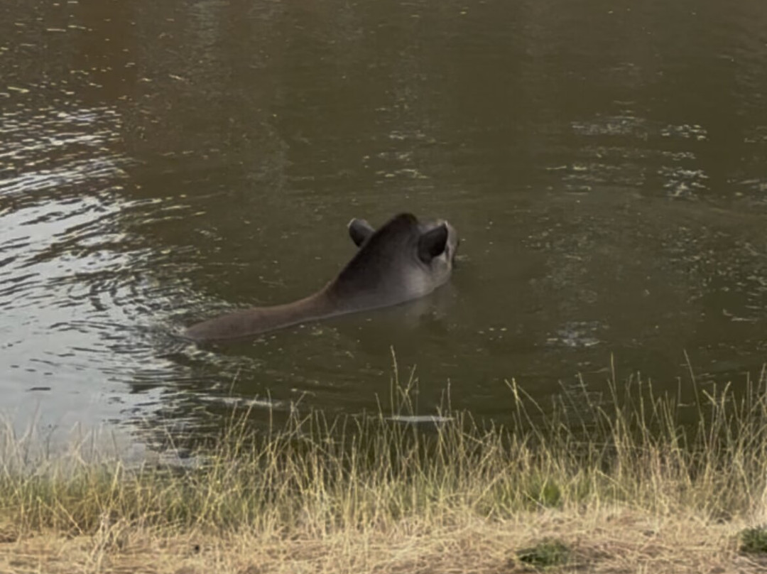 Yorkshire Wildlife Park-Auckley必去景点