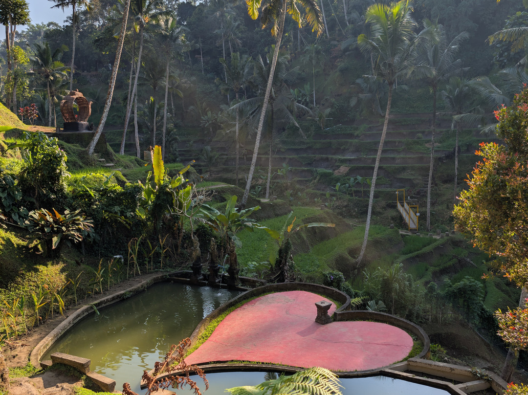 Best Ubud Driver-乌布必去景点