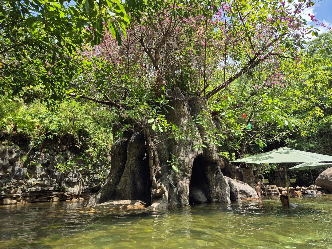 Hot spring Park-岘港必去景点