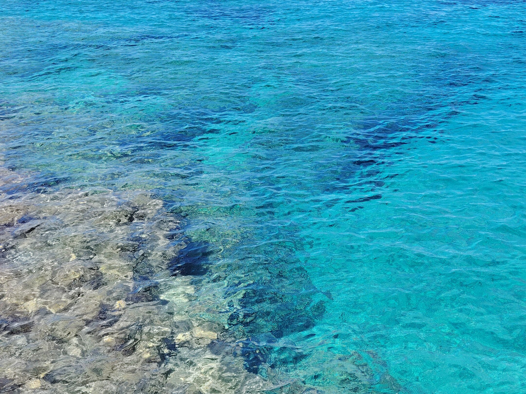 Feel Adriatic Nature Boat Tours Zadar-扎达尔必去景点