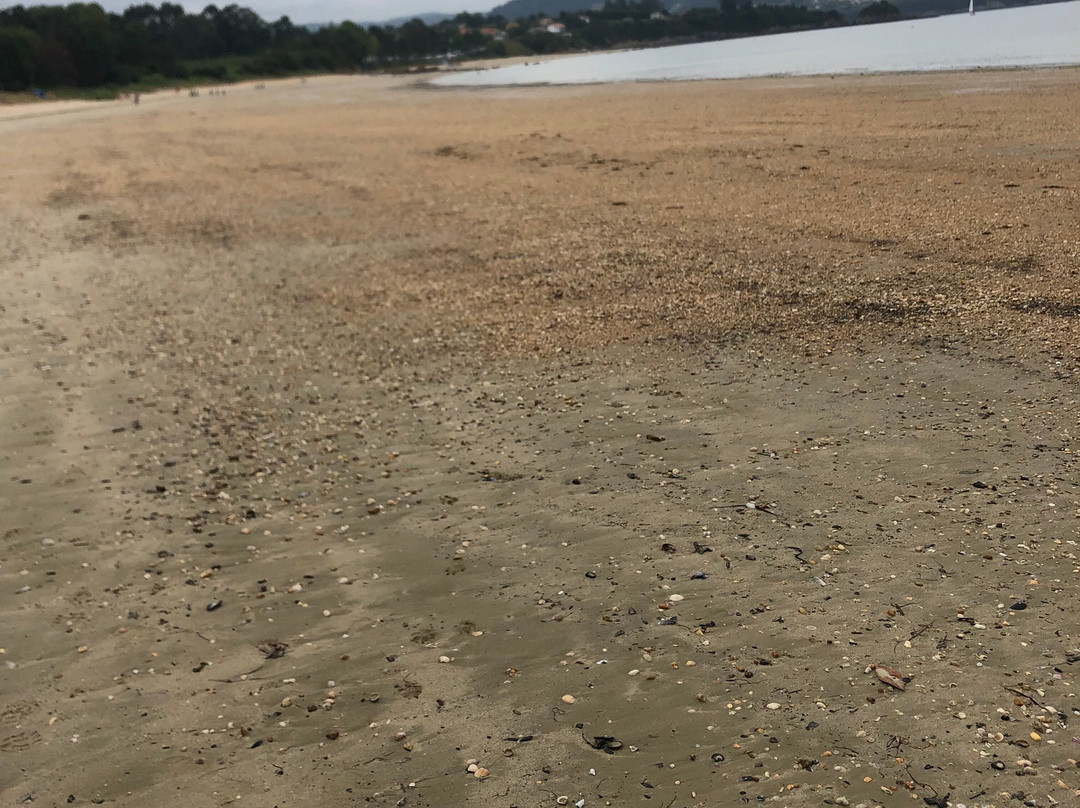 Playa de Seselle-Ares必去景点