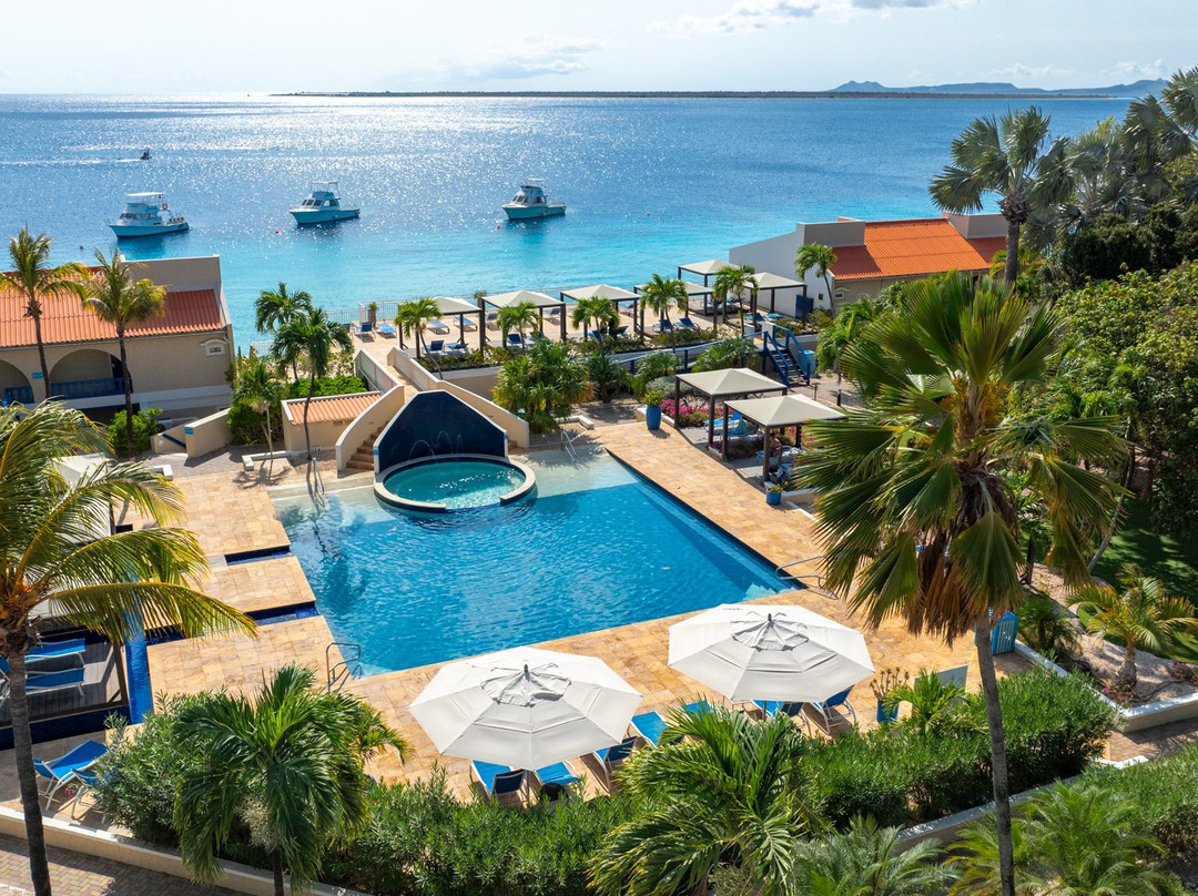博奈尔岛酒店住宿-Divi Flamingo Beach Resort & Casino
