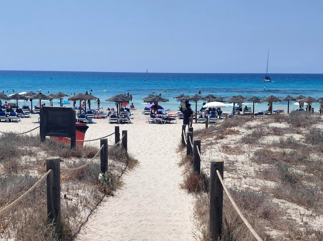 Playa de Son Bou-阿拉约尔必去景点
