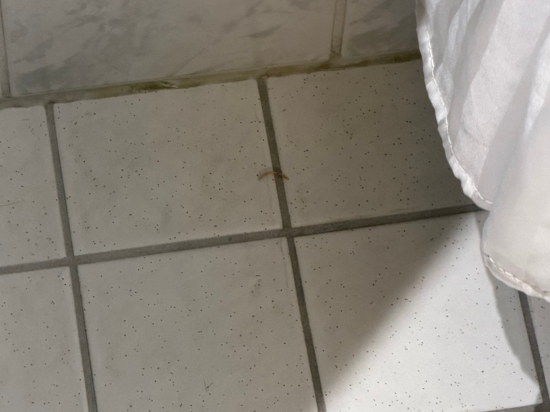 Holiday Inn Express 南安普敦M27，JCT.7主图