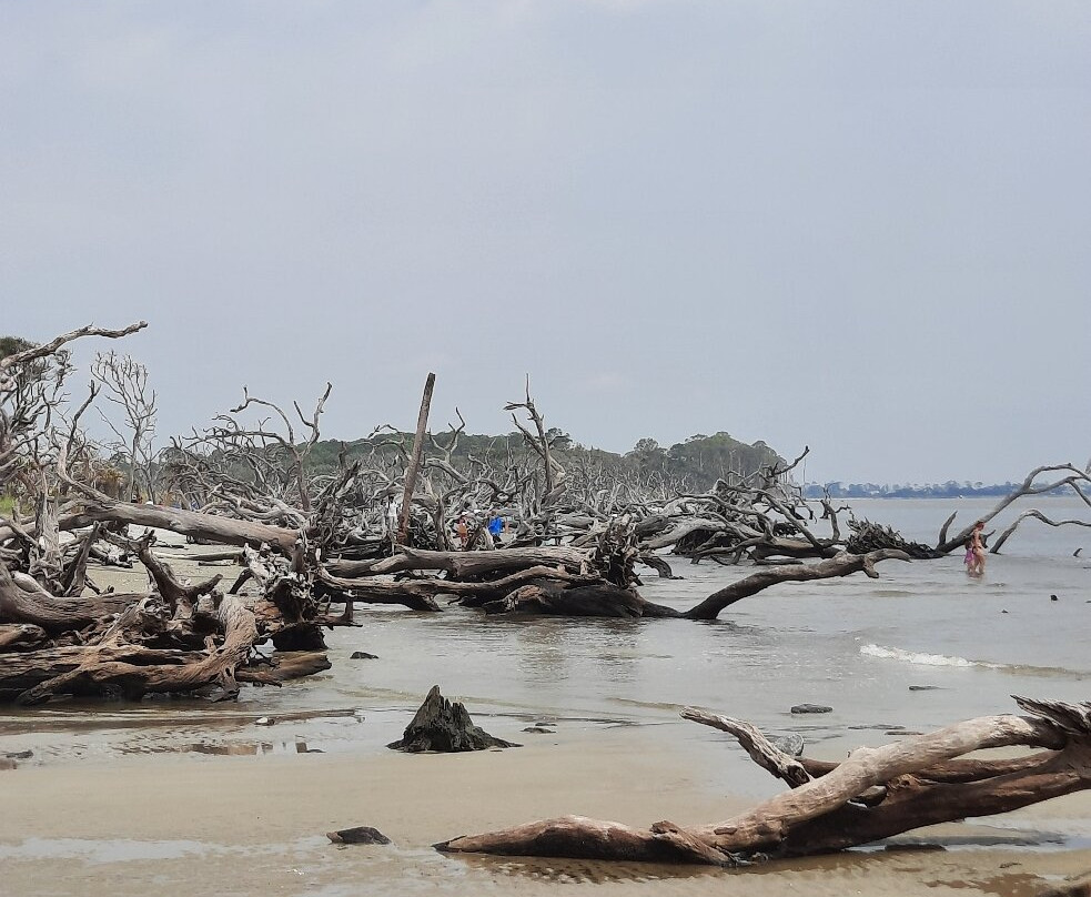 Driftwood Beach-吉柯岛必去景点